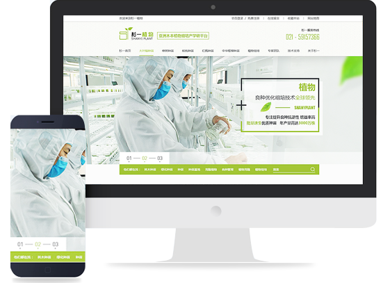 網站建設 打造高效、美觀的在線平臺