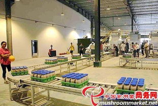 河北光明食品集團(tuán)臨西縣食用菌工廠化建設(shè)項(xiàng)目圓滿竣工，助力現(xiàn)代農(nóng)業(yè)發(fā)展